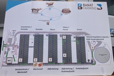 Banat Farming