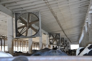Tunelová ventilace (Rájec - Jestřebí)