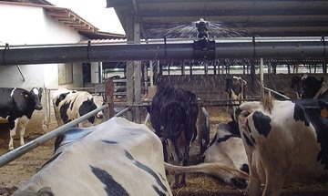 Větrací systém pro dojírnu a čekárnu včetně smáčení